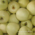 Fresh Golden Delicious Apple (18kg 100-113-125)